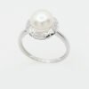 Button Fresh Water Pearl with Diamond Ring in 14K White Gold - Image 3